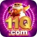 11q Premium Latest v1.3.3