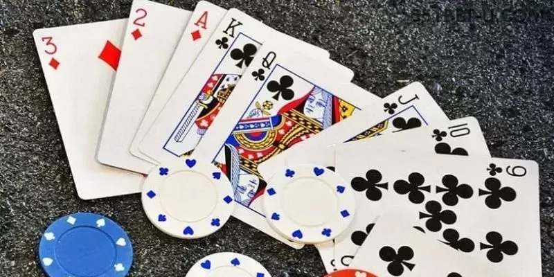 Cassino 551bet app mobile